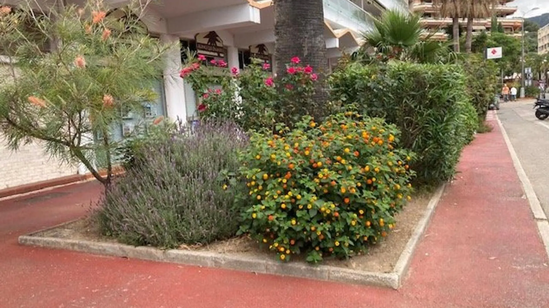 Apartment Appartement Climatise 2 Etoiles Avec Balcon, Proche Plage Et Centre - Le Lavandou - Fr-1-308-199 France